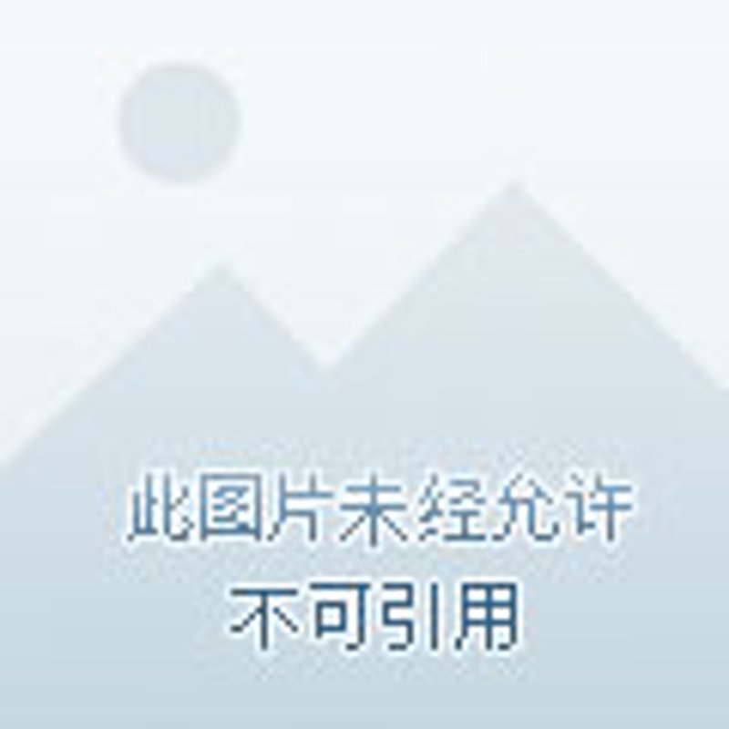 通晓云仓：仓储物流行业的革新者